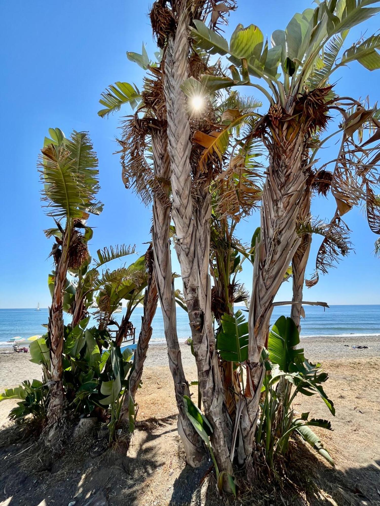 Apartamento De Playa Reformado Rincón de la Victoria Extérieur photo